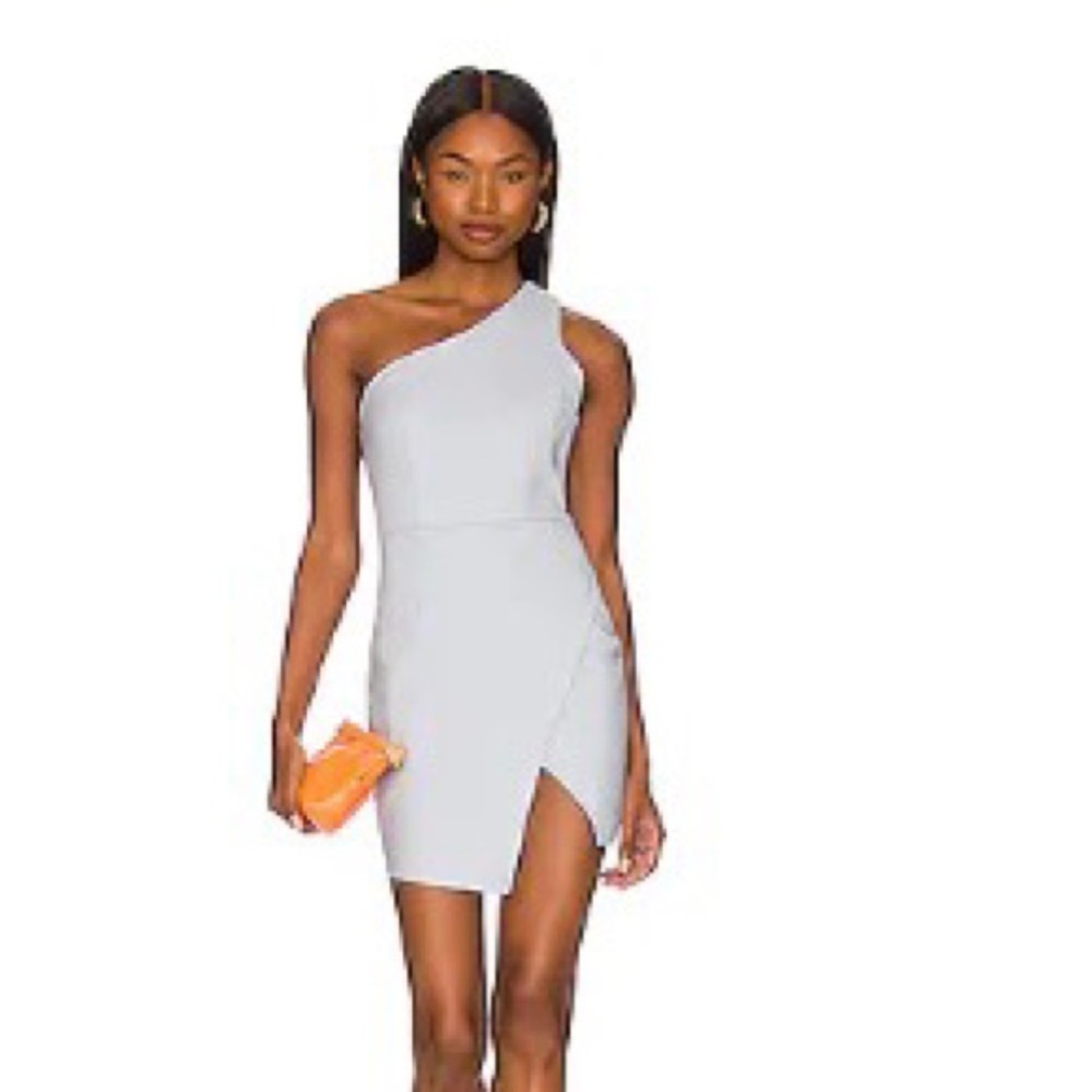 REVOLVE mini dress